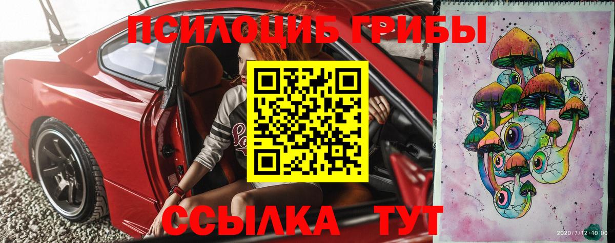 Псилоцибиновые грибы MAGIC MUSHROOMS  Вход с VPN  Гатчина 