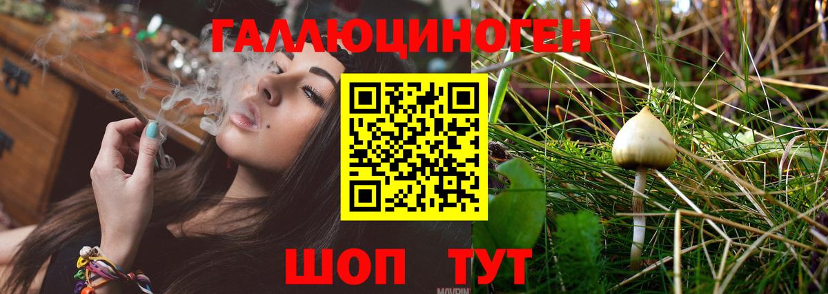 Псилоцибиновые грибы мицелий Гатчина